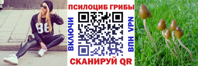 Псилоцибиновые грибы Psilocybe  купить наркотики цена  Анива 